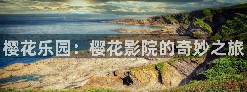 无限星空传媒在线观看