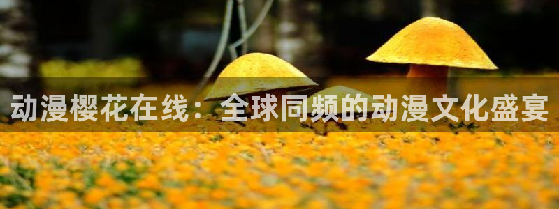 免费在线观看电影网站西瓜视频