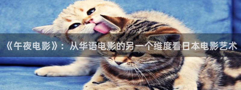糖心vlog不见星空