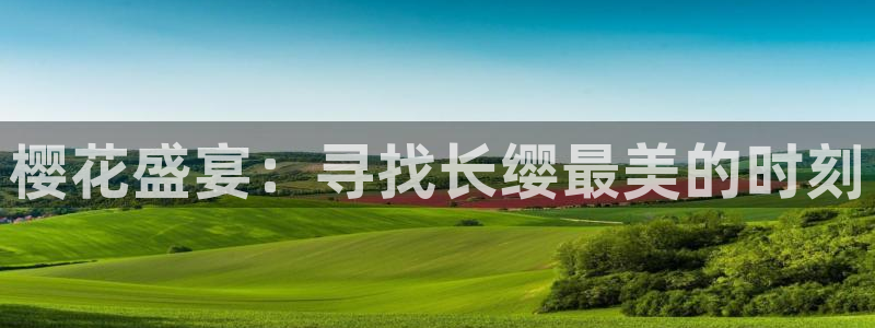 星空视频下载