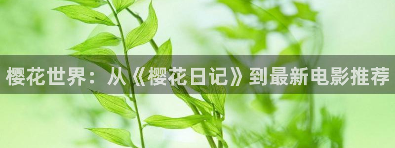 西瓜视频云飞跃