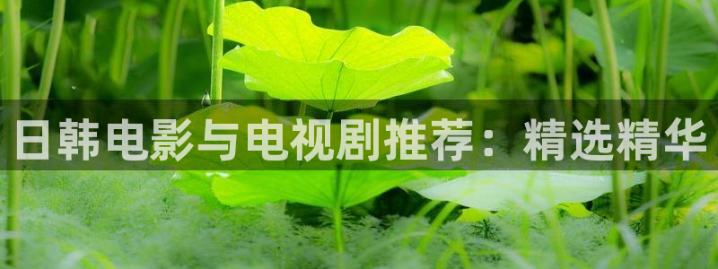 西瓜视频电视剧免费观看在线观看