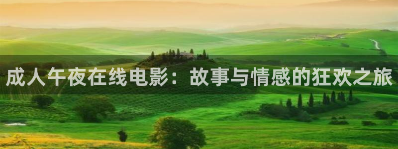 影音室星空