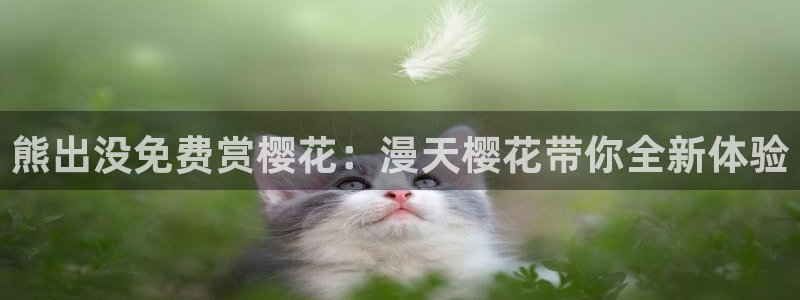 西瓜视频在线免费观看高清版