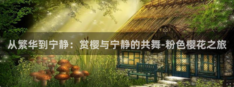 星空电影正片