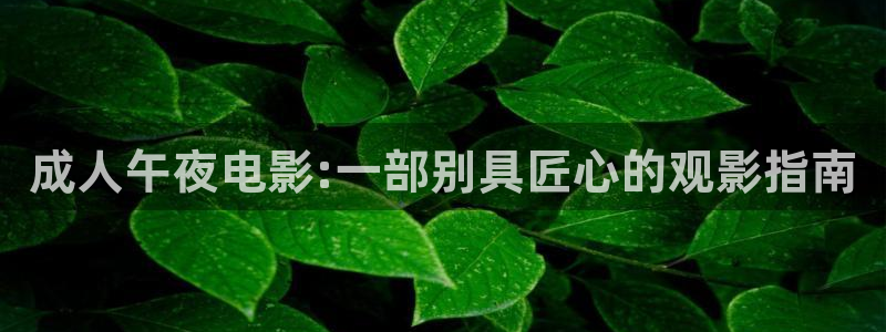 西瓜视频网址