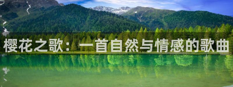 西瓜视频在线观看全集