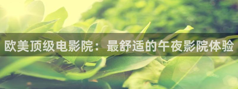 西瓜视频电视免费播放在线观看