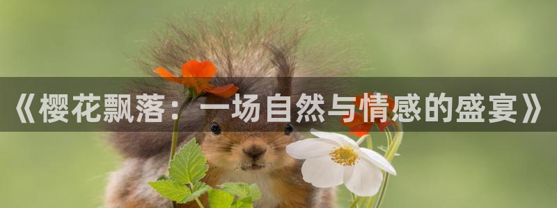 星空视频电影