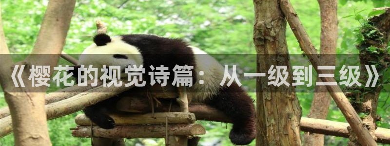 星空影视在线完整免费观看