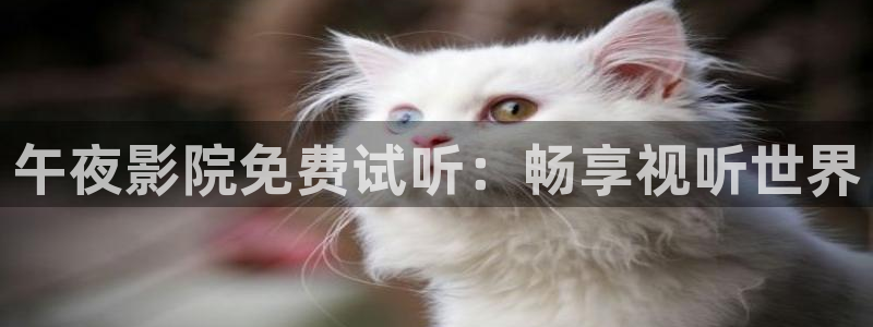 星空影视app最新版本