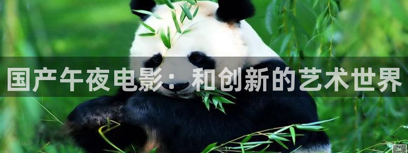 西瓜视频在线电影