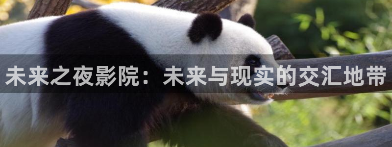 星空影城今日影讯