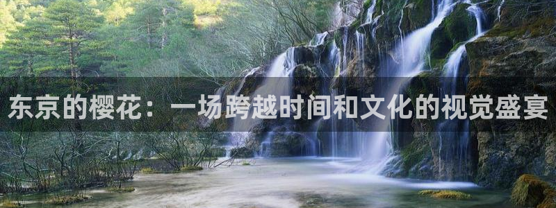 星空视频在线观看免费播放