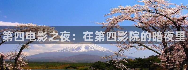 星空视频在线观看免费播放电影