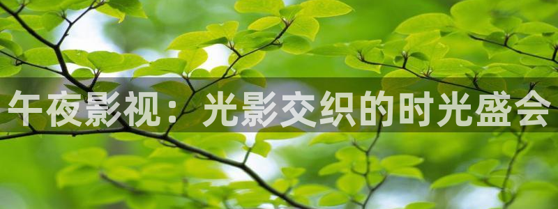 星空电影大全免费高清观看