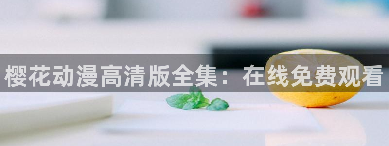 这就是灌篮星空影视